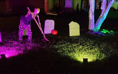 Day 2 – Skelly Looking For More