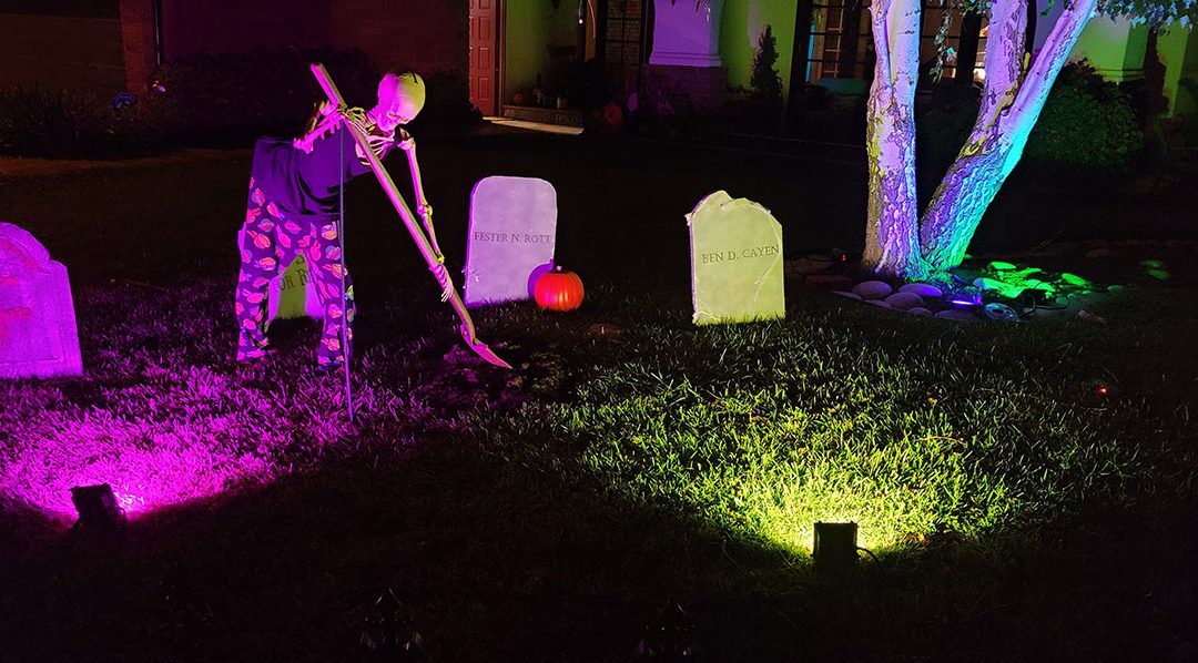 Day 2 – Skelly Looking For More