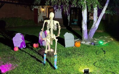 Day 3 – Skelly Helping New Friend