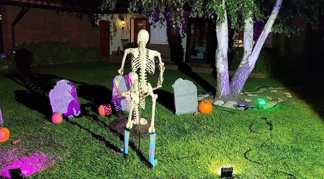 Day 3 – Skelly Helping New Friend