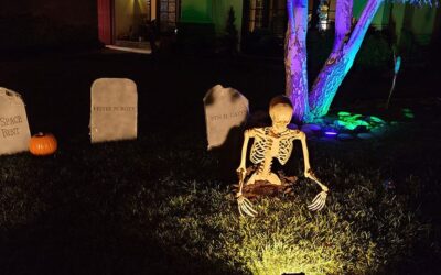 Day 1 – Hello World – Skelly #1 Coming Out