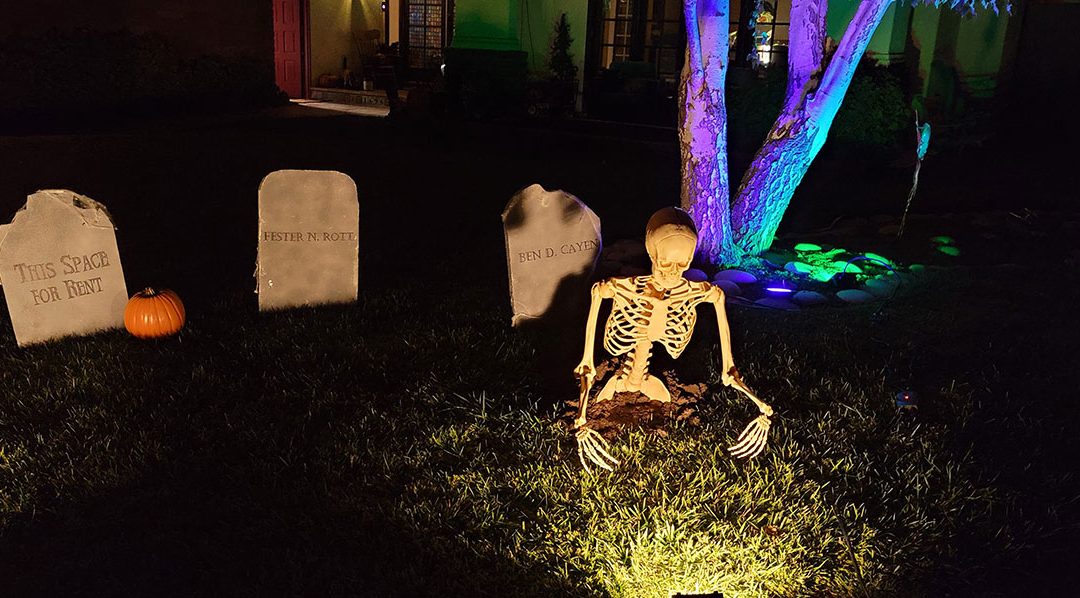 Day 1 – Hello World – Skelly #1 Coming Out