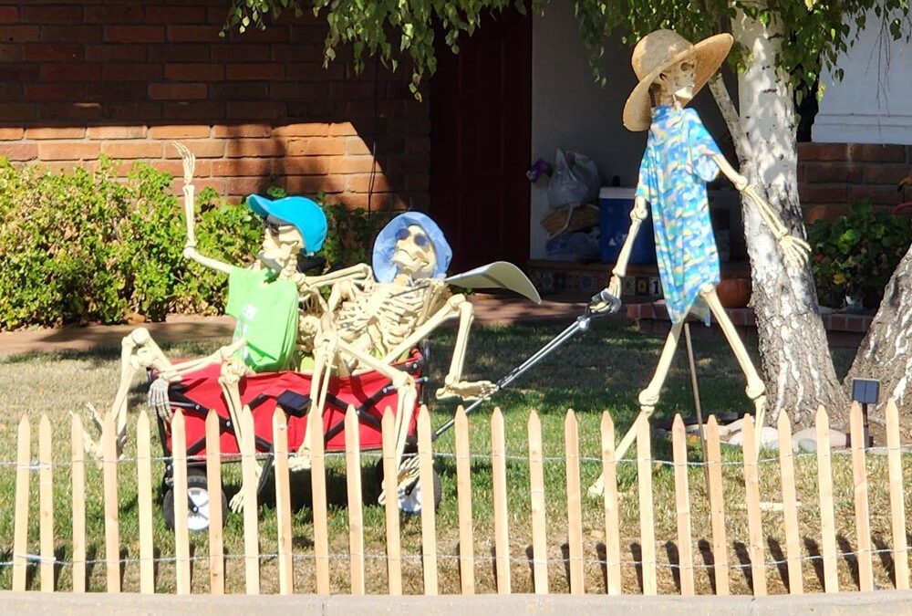 Day 1 – Skellys Arrive