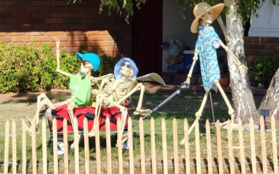 Day 1 – Skellys Arrive