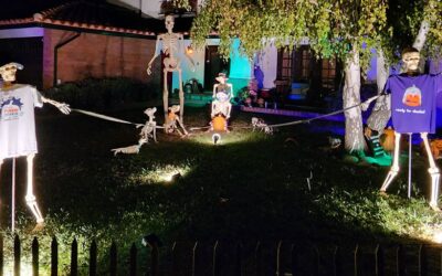 Day 16 – Punkin Chunkin