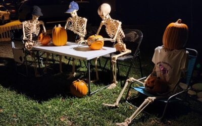 Day 4 – Pumpkin Carving