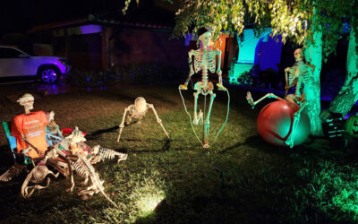 Day 7 – Skellies Working Out