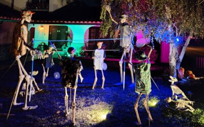 Day 18 – Badminton