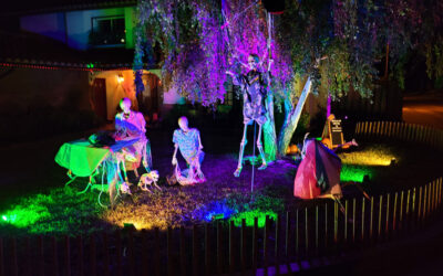 Day 1 – Skellies DROP in