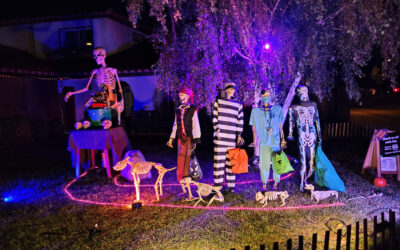 Day 23 – Trick or Treat