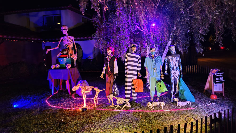 Day 23 – Trick or Treat