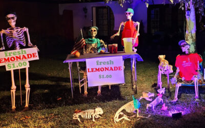 Day 20 – Lemonade Stand