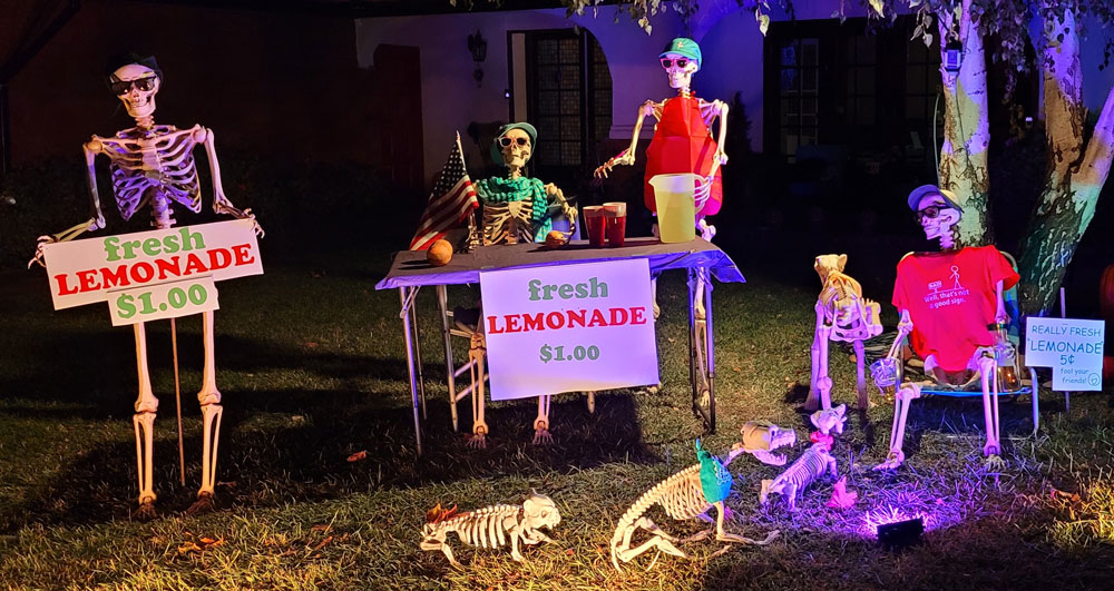 Day 20 – Lemonade Stand