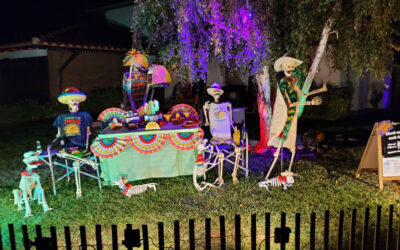 Day 9 – Taco Tuesday