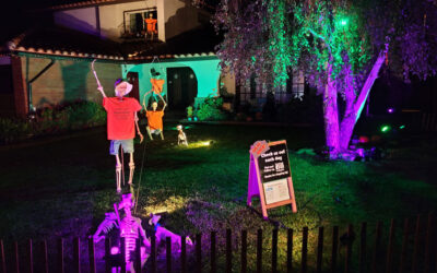 Day 10 – Zombie Zip Line