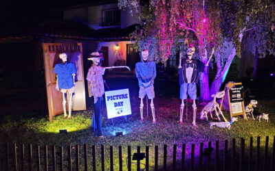 Day 11 – Picture Day