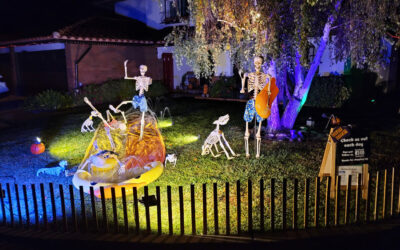 Day 12 – Slip and Slide