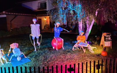 Day 13 – Fitness Yoga