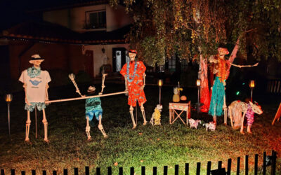 Day 16 – Luau Limbo