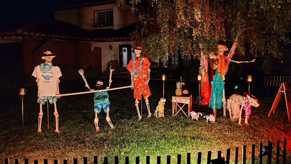 Day 16 – Luau Limbo