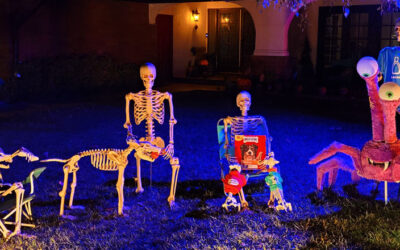 Day 16 – Are 8 legs better than 4?