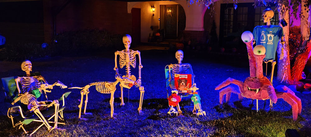 Day 16 – Are 8 legs better than 4?