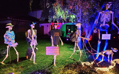 Day 29 – Skellies Leave