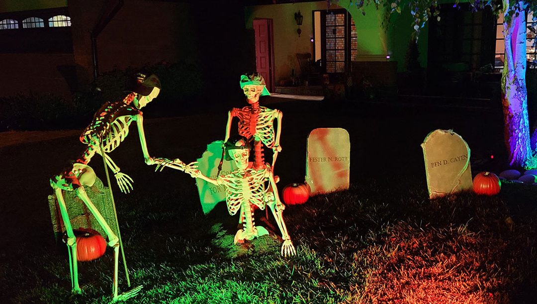 Day 4 – Skellies Find Another!