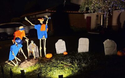 Day 5 – Here Comes Skelly #4