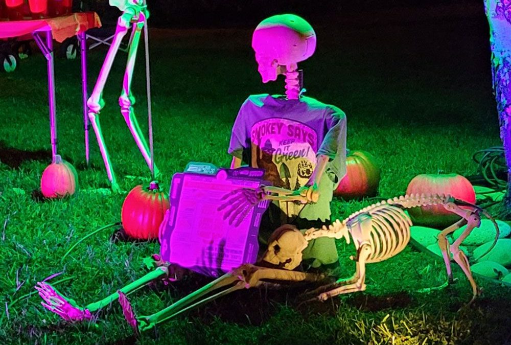 Day 6 – Skellies Out – Party!