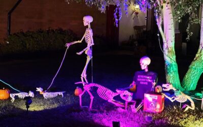 Day 7 – Skellies Find Their Dogs