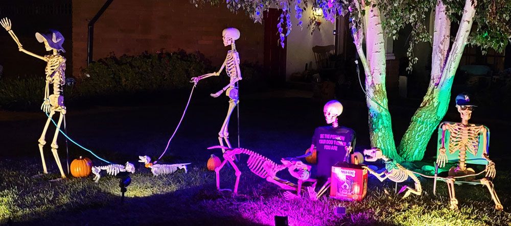 Day 7 – Skellies Find Their Dogs