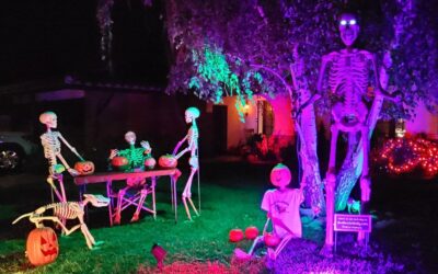 Day 9 – Carving Pumpkins