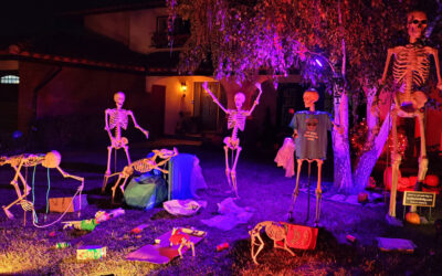 Day 17 – One man’s trash is doggie treasure!