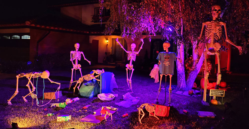 Day 17 – One man’s trash is doggie treasure!