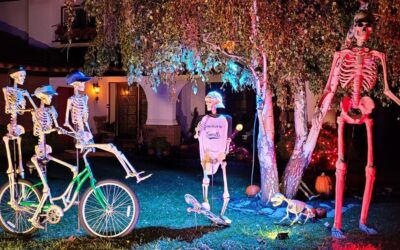 Day 23 – 3 on a Bike