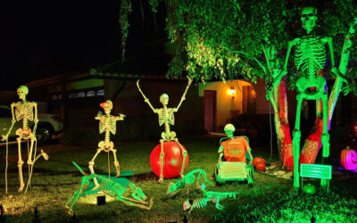 Day 14 – Skellies Working Out