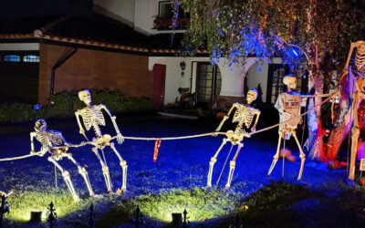 Day 15 – Tug Of War